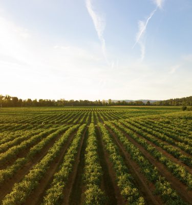 Chez William Houde, on cultive l’amélioration continue